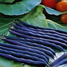 180 Seeds Dwarf Beans
