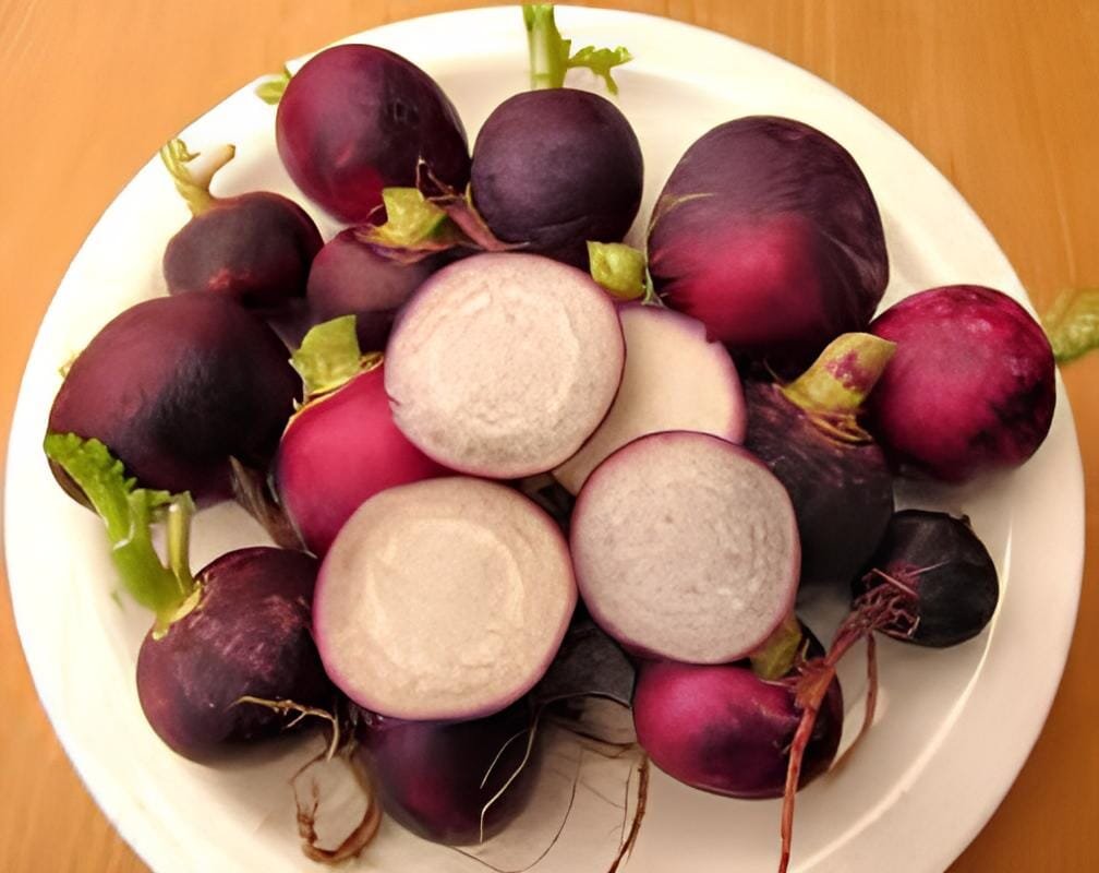 300 Seeds Radish Violet Round Vegetable