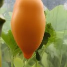 200 Seeds Tomato 'mango' Orange Fruit Vegetable