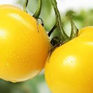 600 Seeds Tomato Yellow 'Golden Peach' Sweet Fruit
