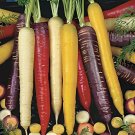 300 Seeds Organic Rainbow Blend Carrot