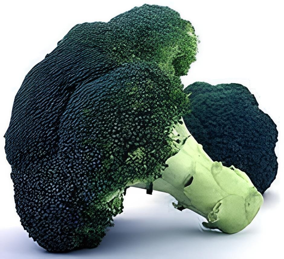 200 Seeds Organic Green Broccoli Vegetable