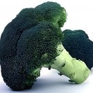 200 Seeds Organic Green Broccoli Vegetable