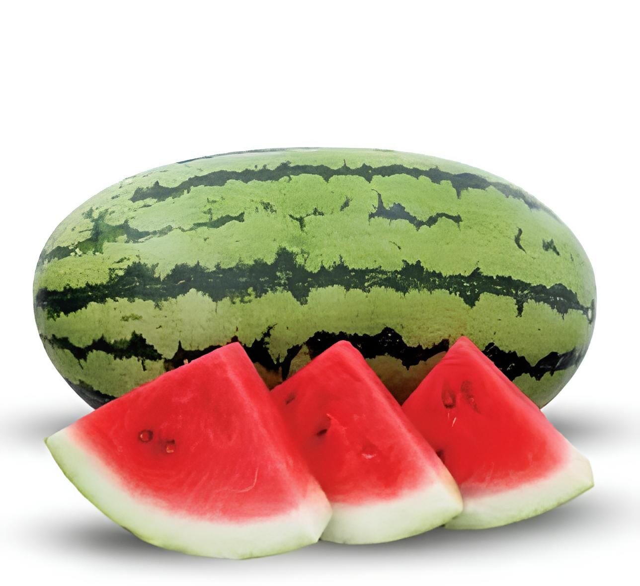 40 Seeds High Yields Legacy Long Red Watermelon