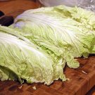 20 Seeds Fresh Chinese Baby Cabbage Vegetable