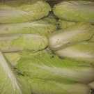 200 Seeds Green Yellow Chinese Cabbage Organic