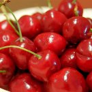 12 Seeds Red Middle Sweet Cherry Fruits