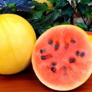 20 Seeds Golden Midget Small Watermelon