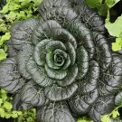 80 Seeds Wuta-tsai Organic Vegetables