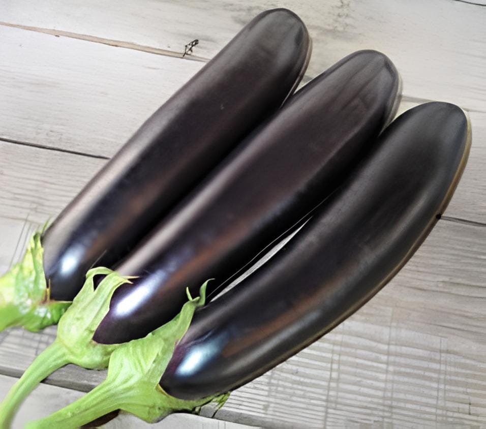 320 Seeds Rare Long White 'Bai Yin' Eggplant Vegetable F1
