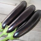 320 Seeds Rare Long White 'Bai Yin' Eggplant Vegetable F1