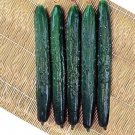600 seeds Greenhouse Cucumber Dark Green Long Vegetables