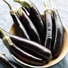 600 Seeds Imported Japanese Early Black Long Eggplant Vegetable