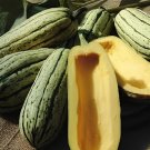 20 Seeds Delicata Little Sweet Squash Organic