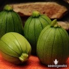 20 Seeds Heirloom Tatume Summer Squash Vegetables Organic