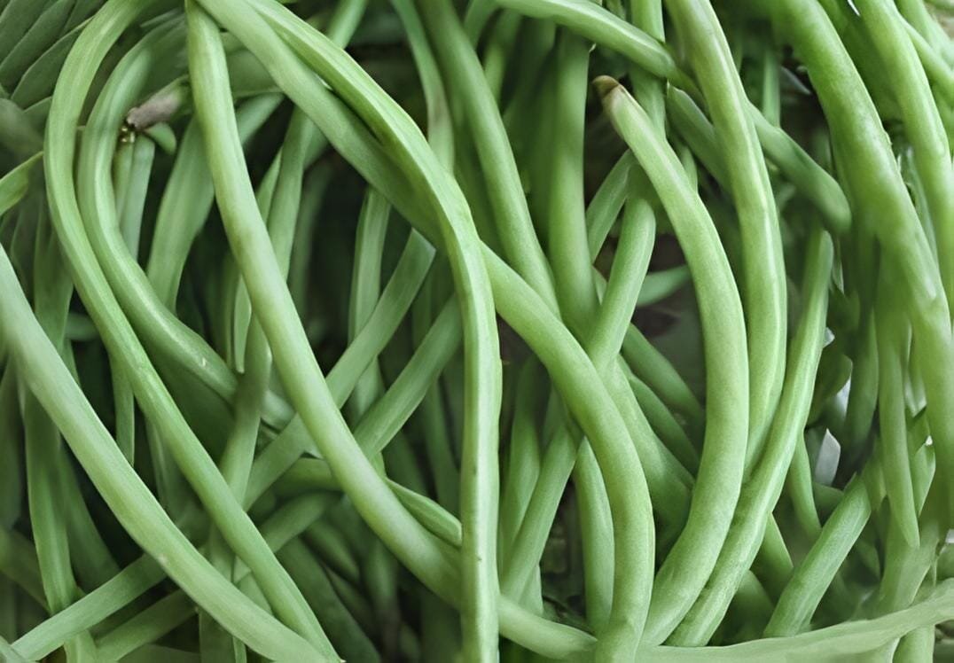 400 Seeds Long Green Cowpea