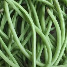 400 Seeds Long Green Cowpea