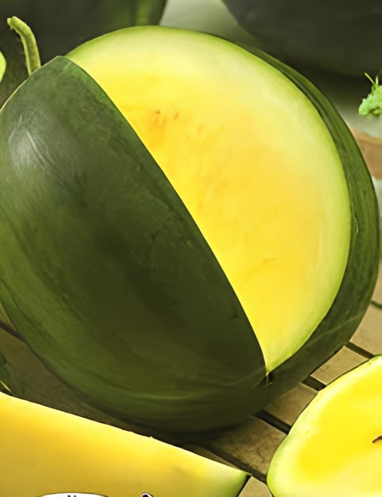 20 seeds Heirloom Yellow Flesh Janosik Watermelon