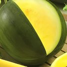 20 seeds Heirloom Yellow Flesh Janosik Watermelon