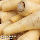 200 seeds White Gem Parsnip Carrot Vegetables