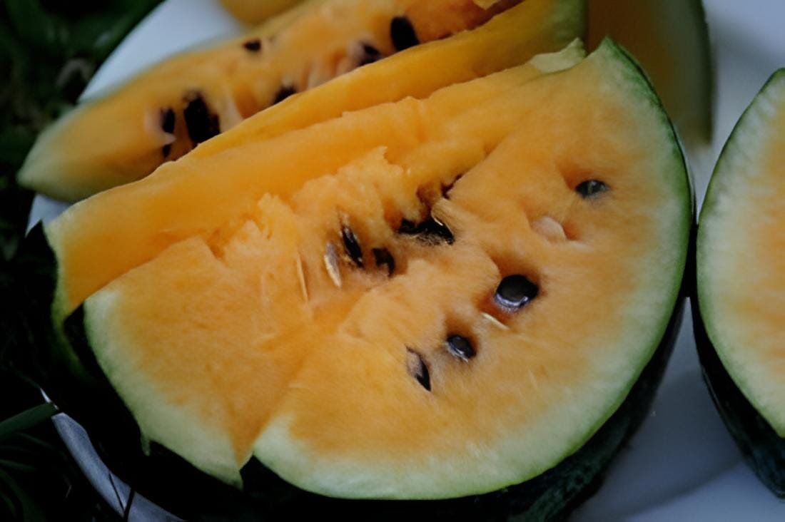 40 seeds Yellow / Black Skin Watermelon with red meat