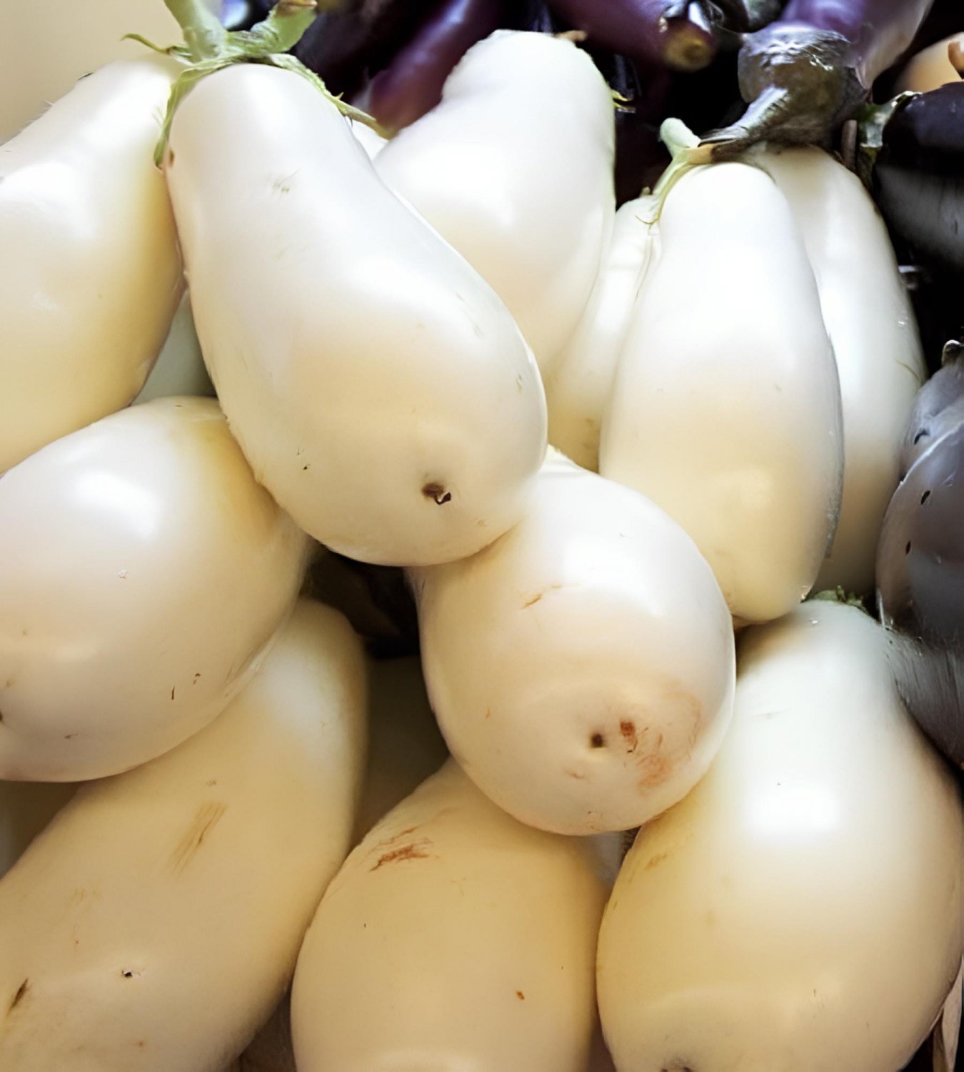 100 Seeds White Eggplant Seeds Aubergine Solanum Melongena Vegetables