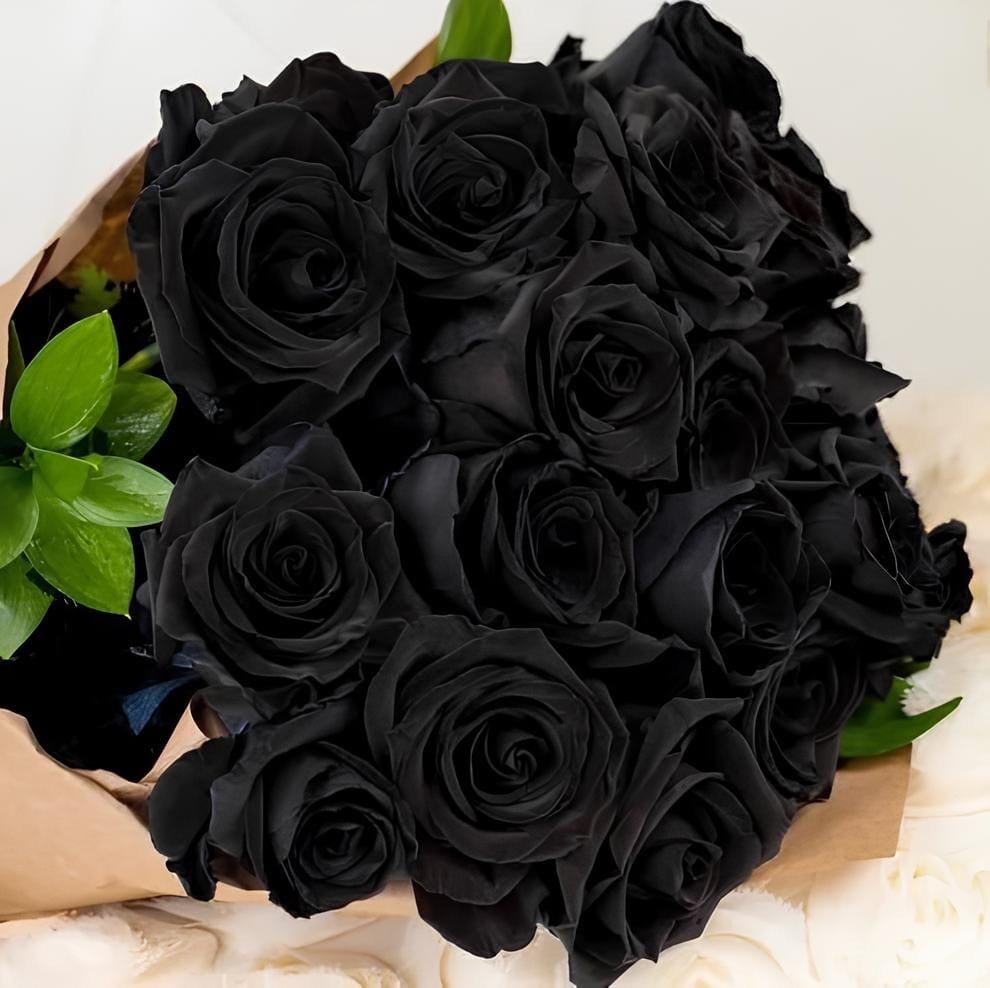 300 seeds China Rare Black Rose Flower Bonsai