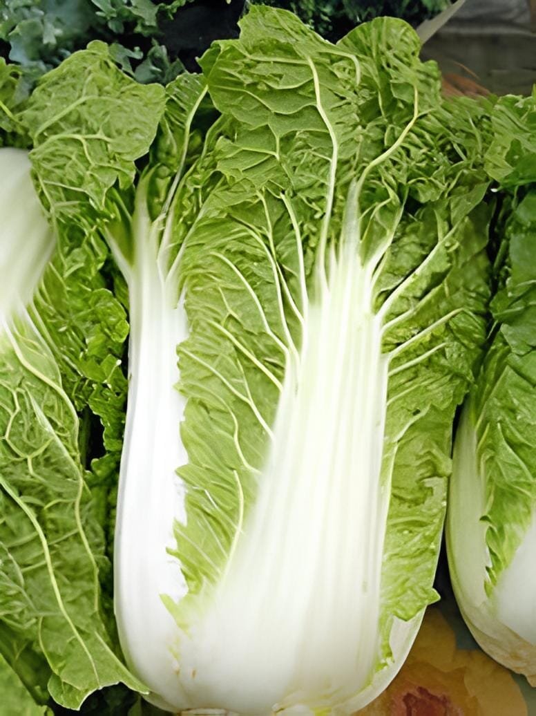 200 Seeds Chinese Cabbage Heirloom