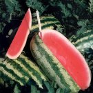 80 Seeds Big Long Red Watermelon