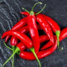 ams Seeds Jintai 'Jin Jiao 1.0' Red Pod Pepper Chili Vegetable 10 gr