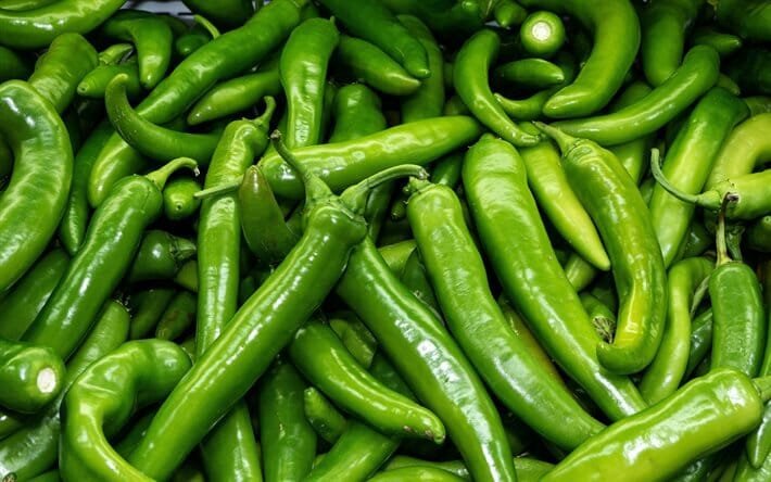 8000 Seeds Giant Green American Cayenne Pepper Organic