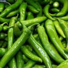 8000 Seeds Giant Green American Cayenne Pepper Organic