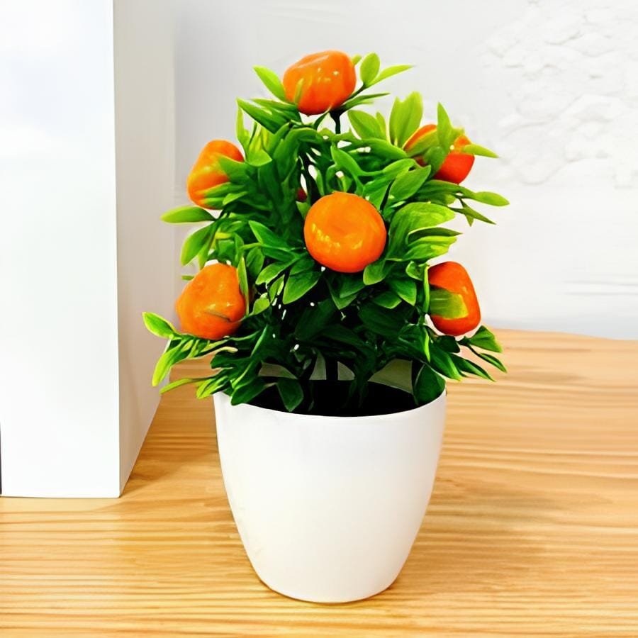 60 Seeds Mini Orange Tree