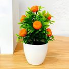60 Seeds Mini Orange Tree
