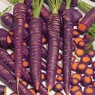 200 Seeds Purple Dragon Carrot