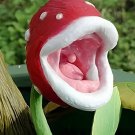 200 Seeds Plant Enchantress Carnivorous
