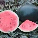 16 Seeds Long Big Black Skin Pink Watermelon Fruit