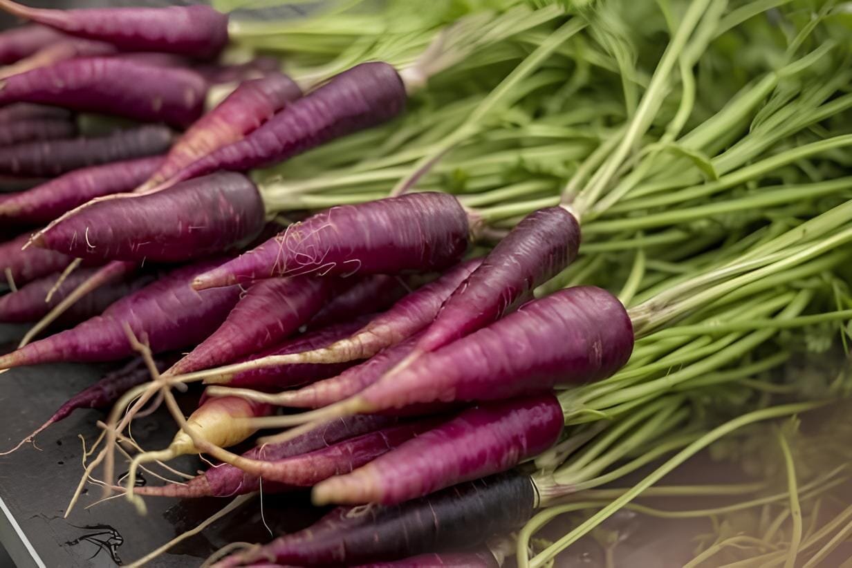 60 Seeds Purple Carrot Vegetable