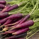 60 Seeds Purple Carrot Vegetable