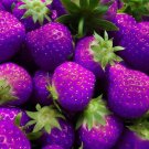 200 Seeds Purple Strawberry Easily Grow In Garden Potting