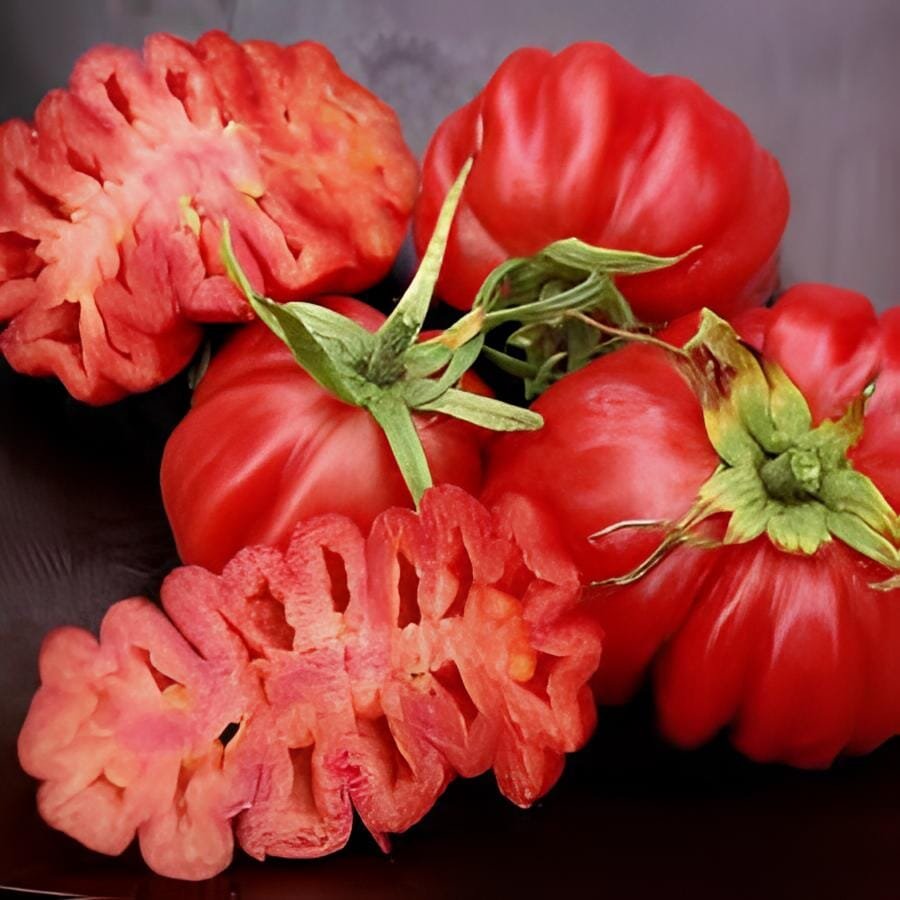 200 Seeds Rare Zapotec Ruffled Tomato Organic