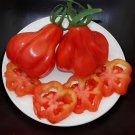 80 Seeds Tlacolula Tomato Vegetable