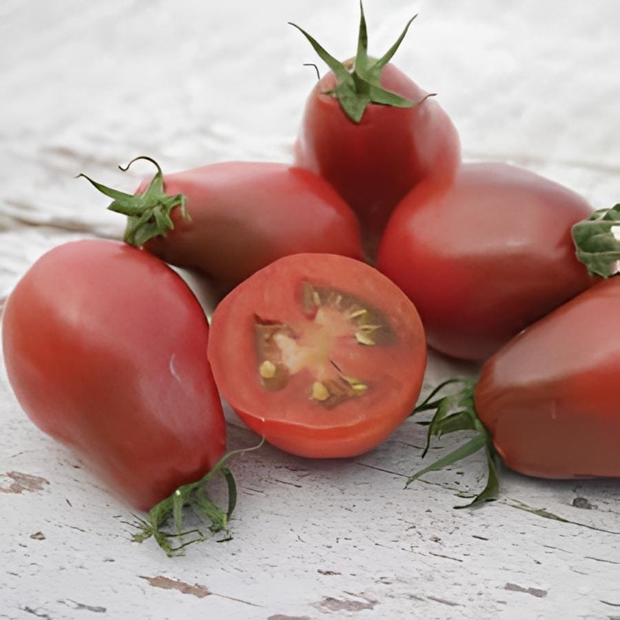 200 Seeds Heirloom Evan's Purple Pear Tomato