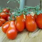 200 Seeds Heirloom Ukraine Red Peal Tomato