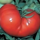 70 Seeds Big Pink Red Tomato Seed Non-Gmo Heirloom Vegetables