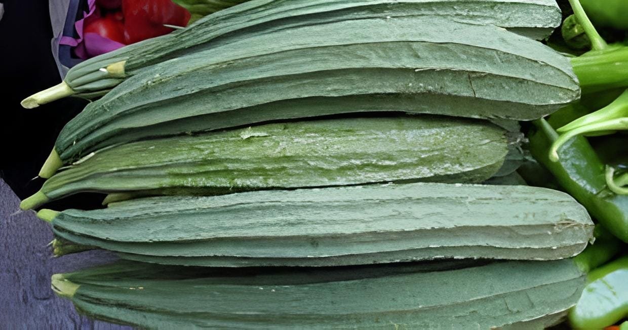 20 Seeds Luffa Acutangula Angled Luffa Vegetables Ridged Luffa Chinese Okra