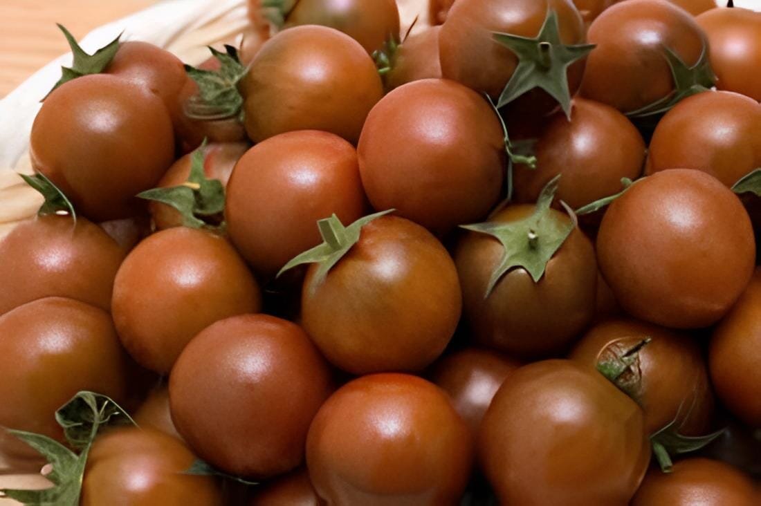 600 Seeds Harbin Black Cherry Tomato