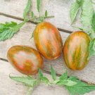300 Seeds Heirloom 'Tiger Colorful' L Tomato F2