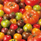 2000 Seeds Mix Tomato