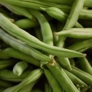 300 Seeds Organic Runner Dwarf Climbing Green Pea